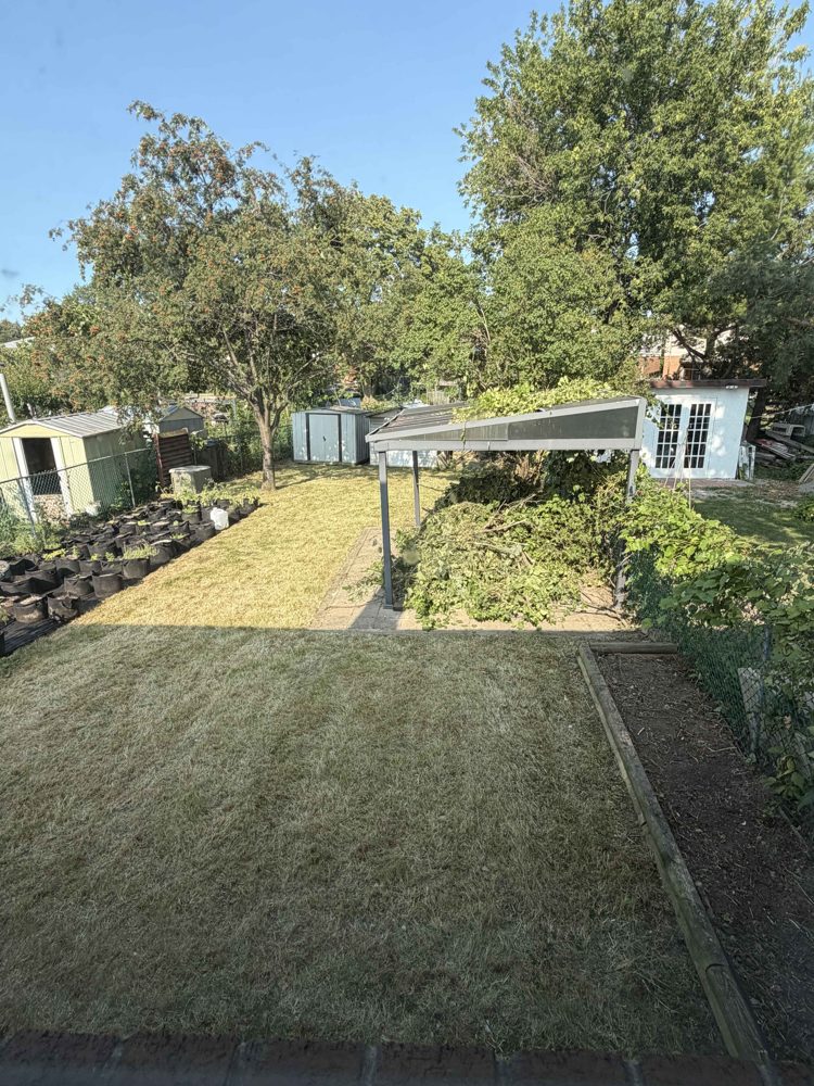 Backyard after Goats Landscaping cleanup — tidy mowed lawn