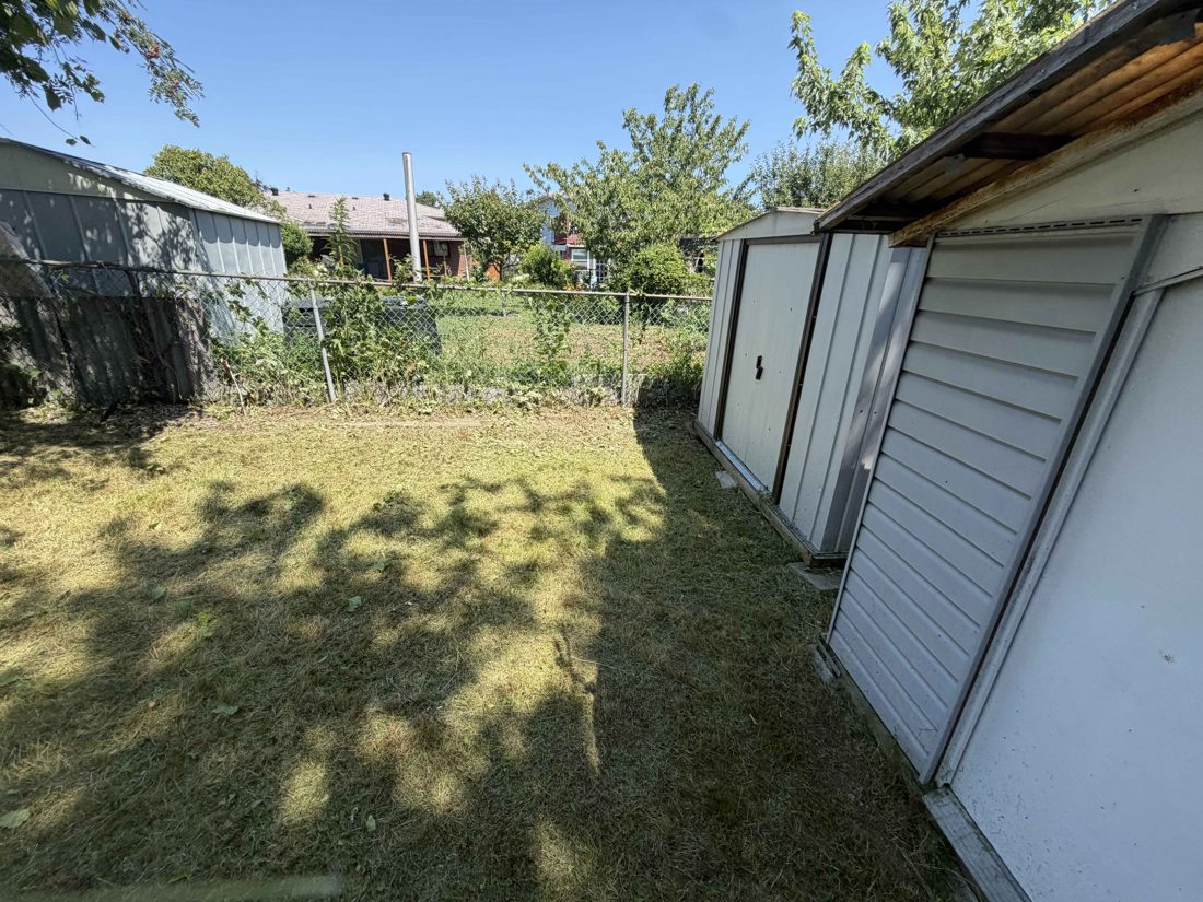 Cleaned-up yard with cleared beds