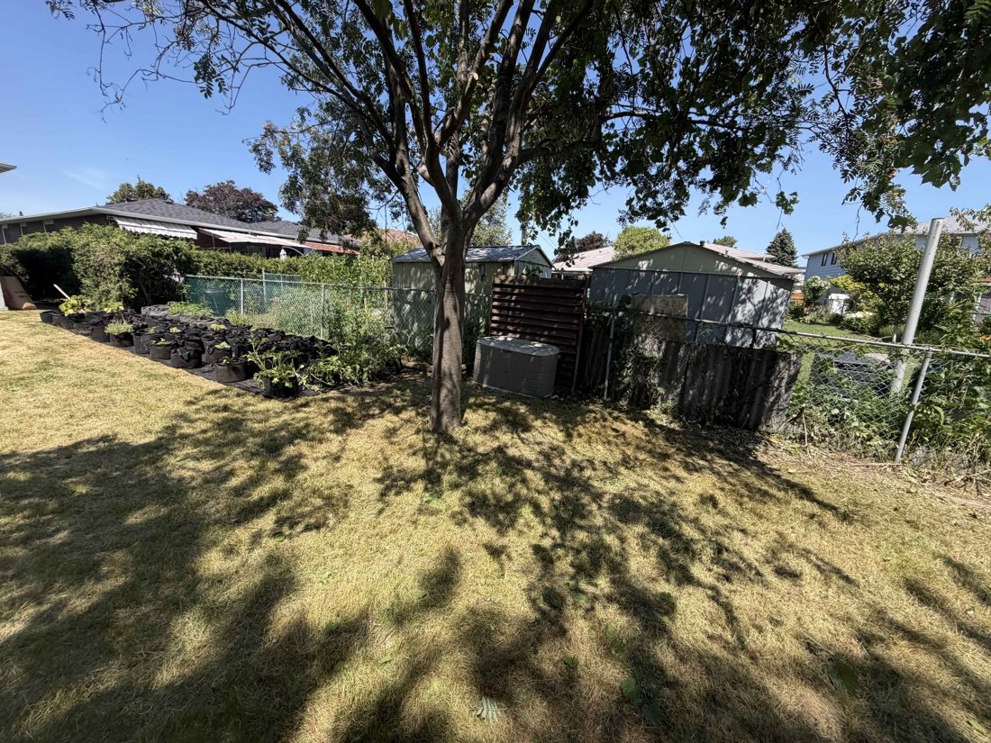 Tidy landscaped yard under a shade tree